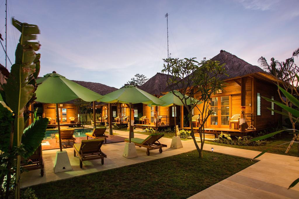 Gecko & Lembongan